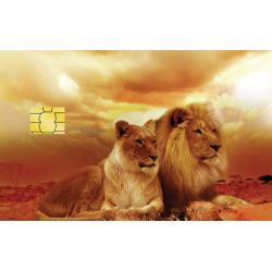 Løve par