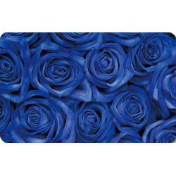 Blå roser på fuld baggrund